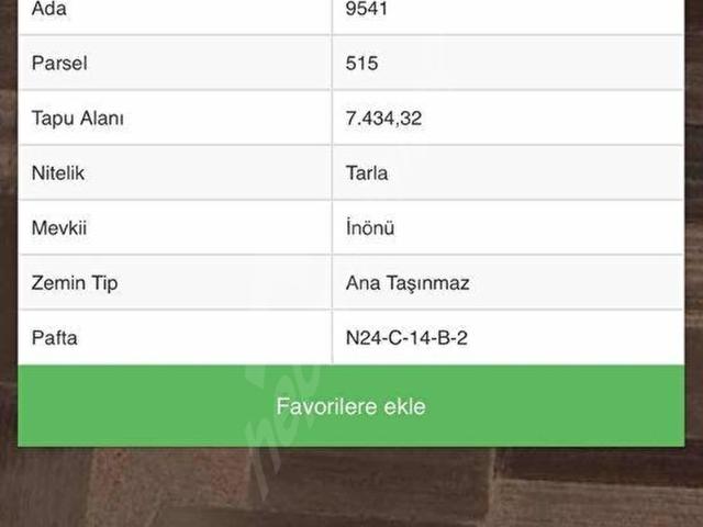 Yola 2. Parsel 4 Dönüme Yakın Akkoç