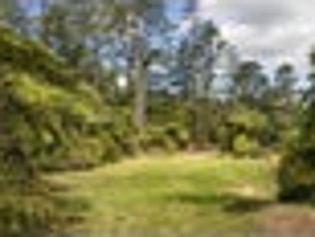 Your Own Private Bush Oasis