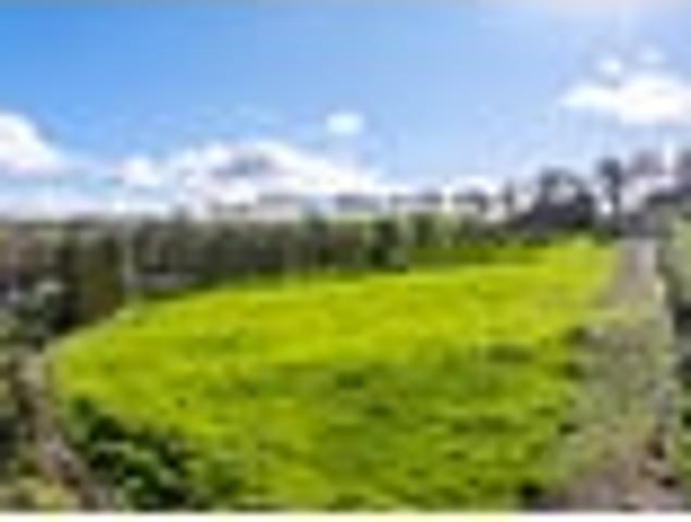 Your Own Sanctuary near Mangawhai Village