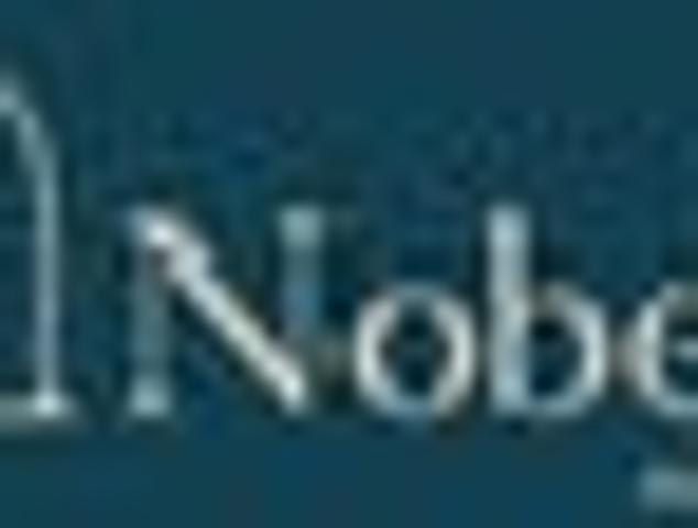 Your Blank Canvas Awaits – 470m² in Nobeline