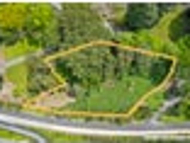 Your Blank Canvas in Raumati South!