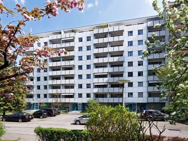 Your central apartment in Basel