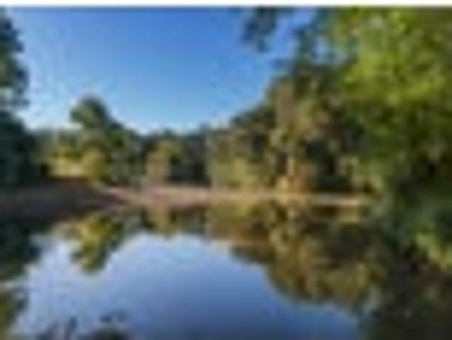 Your Dream? Serene Lifestyle Scene.