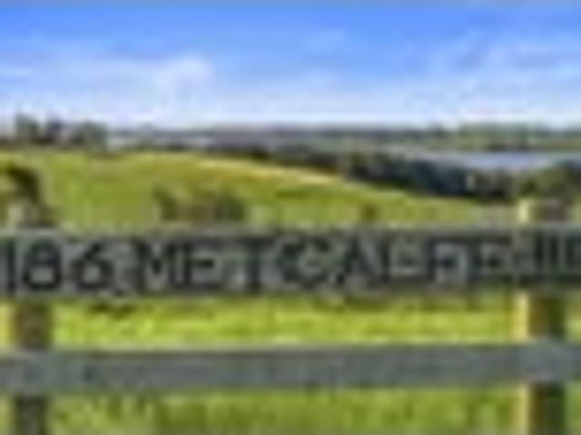 Your Kaipara Dream Starts Here