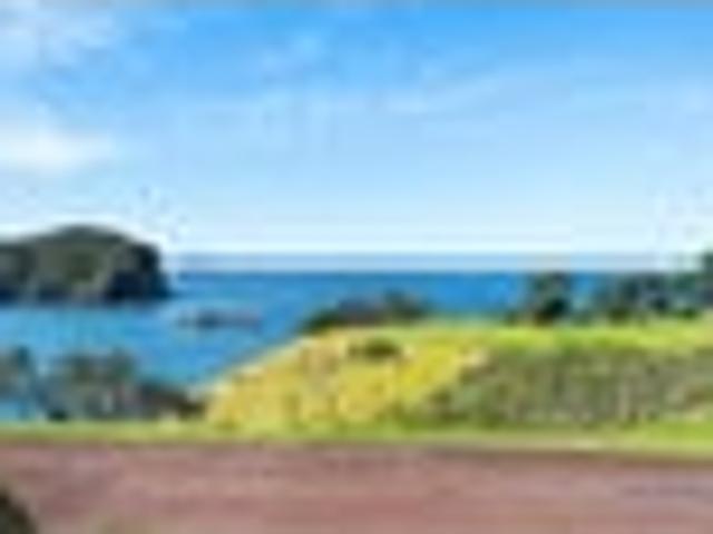 Your Slice of Tutukaka Paradise