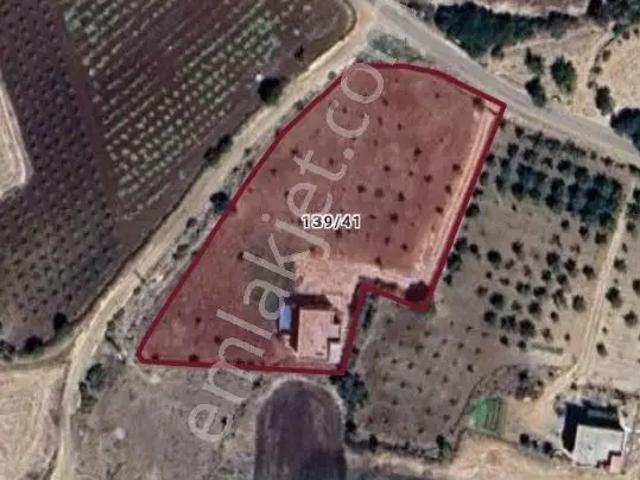 Ymz'den lohan cevizli De Havuzlu Villa