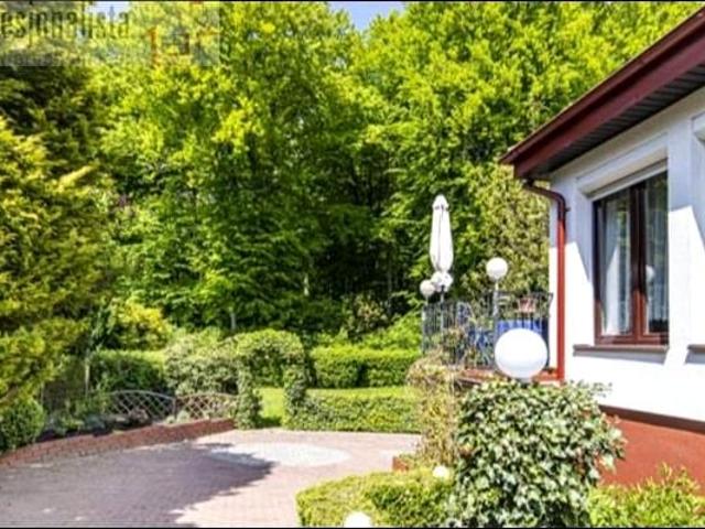 Żywiczna 220 m², Gdynia
