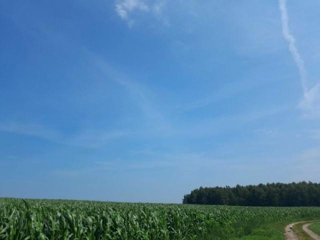 Żytnia 700 m², Śliwice