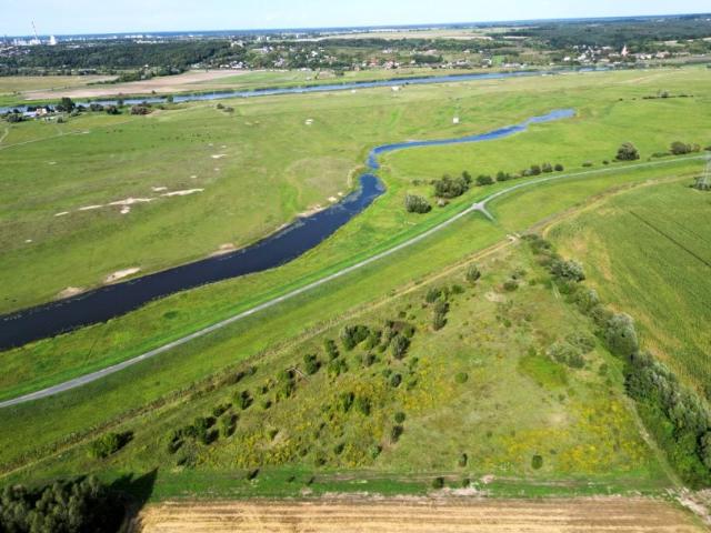 Żytnia 7 262 m², Gorzów Wielkopolski