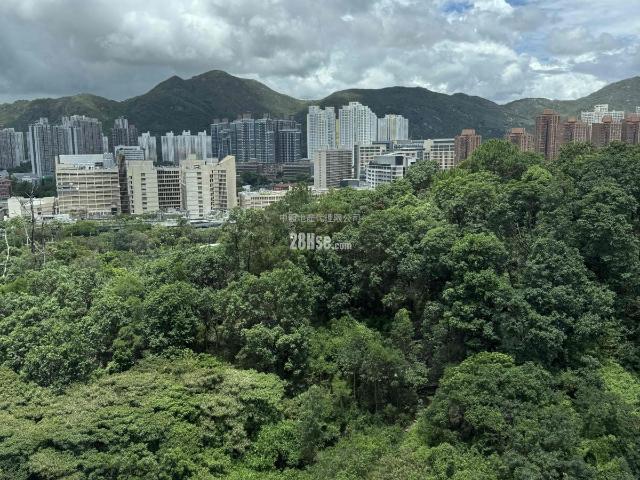 御半山 #3835 售盤樓盤詳細資料