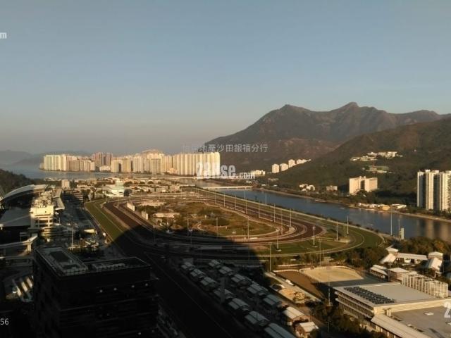 御龍山 #3852 售盤樓盤詳細資料