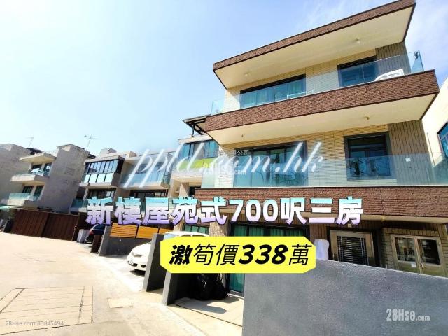 元朗村屋 #3845 售盤樓盤詳細資料