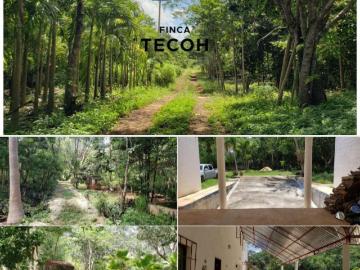 Yucatán, Tecoh