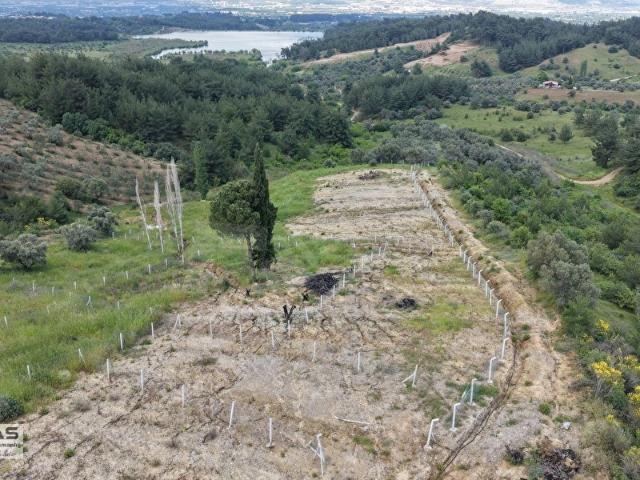 Yukarıkızılca da Satılık 1.324 m Gölet Manzaralı Tapulu Bahçe