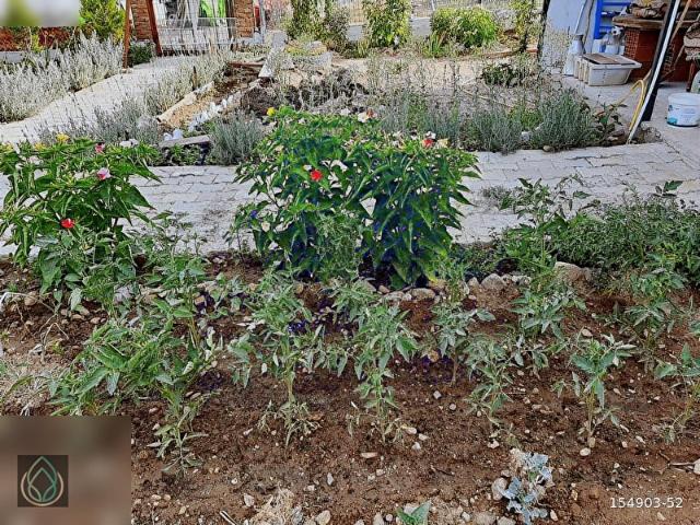 Yukarıkızılca'da bol oksijennefis manzaralı satılık ev