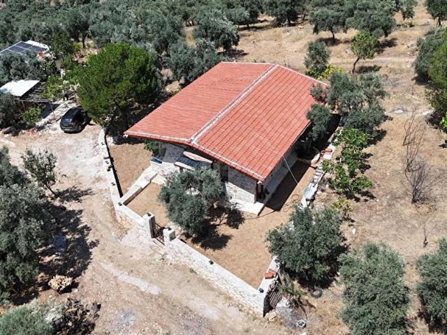 YUSUFÇA KÖYÜNDE SATILIK BAKIMLI 39 DÖNÜM ZEYTİNLİK VE TAŞ EV