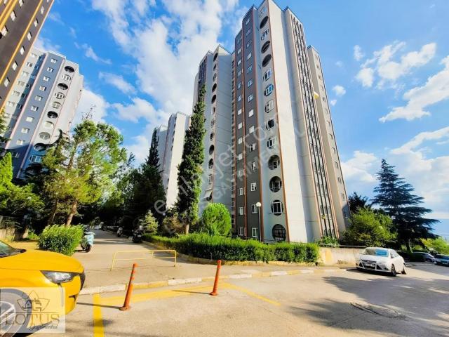 Yuvam Akarca 2. Etap Kiralık Eşyalı Yüksek Girişli 3+1 Daire