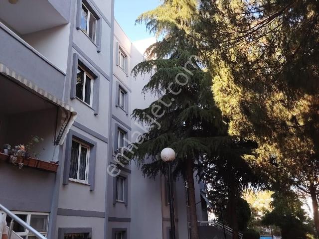 Yuvam Akarca'da Mopaş Yanı, Ara Kat, Masrafsız 3+1 Kiralık Daire