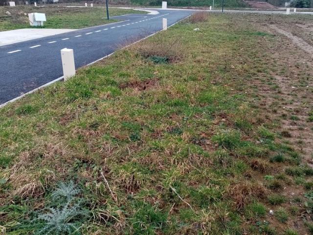 Yvetot Vente Terrain 76