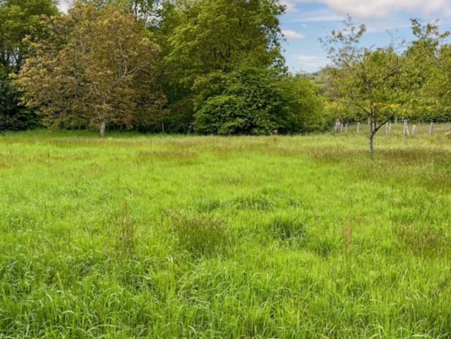 Yvré l'Évêque Vente Terrain 72