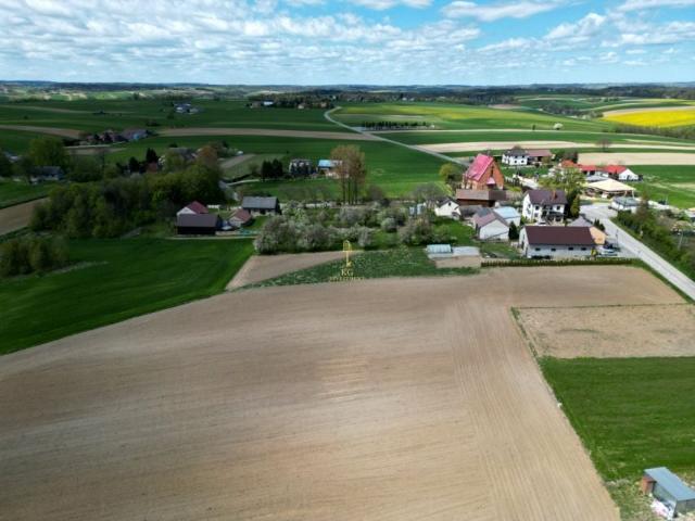 Złota 1 000 m², Celiny