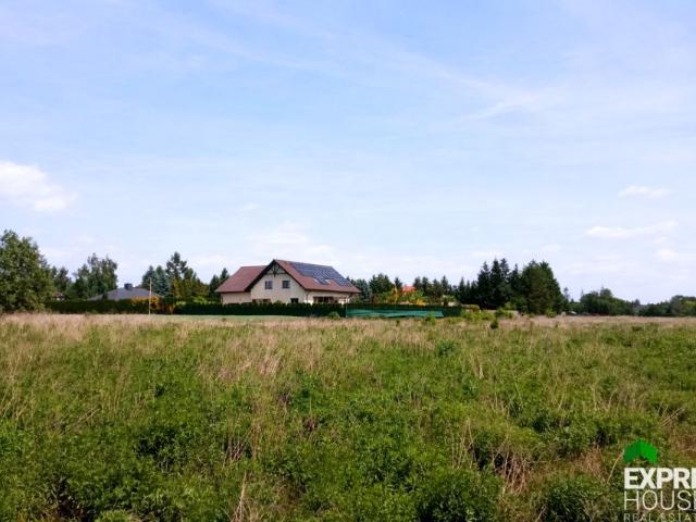 Złocieniowa 1 780 m², Wola Grzymkowa