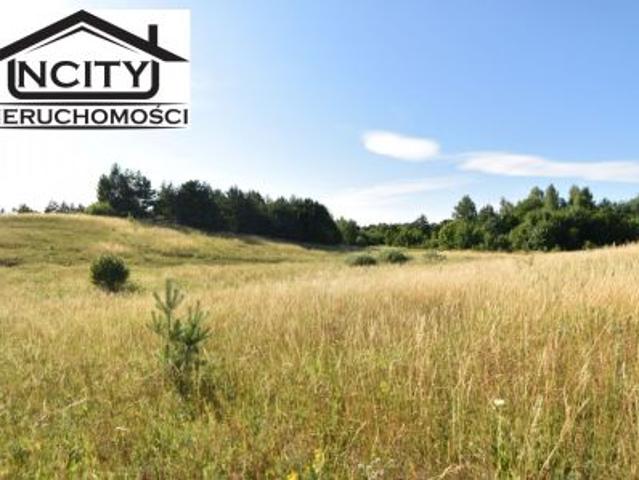 Zła Wieś, 3936 m² Działka