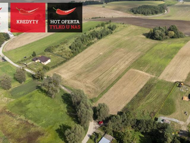 Działka 3018m2 w Złej Wsi – cisza, natura, blisko Gdańska