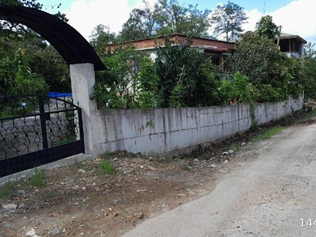 Z grup ordu Çamaş Çavuşbaşı Mahallesi'nde satılık 4.5 dönüm bahçe ve içinde müstakil ev