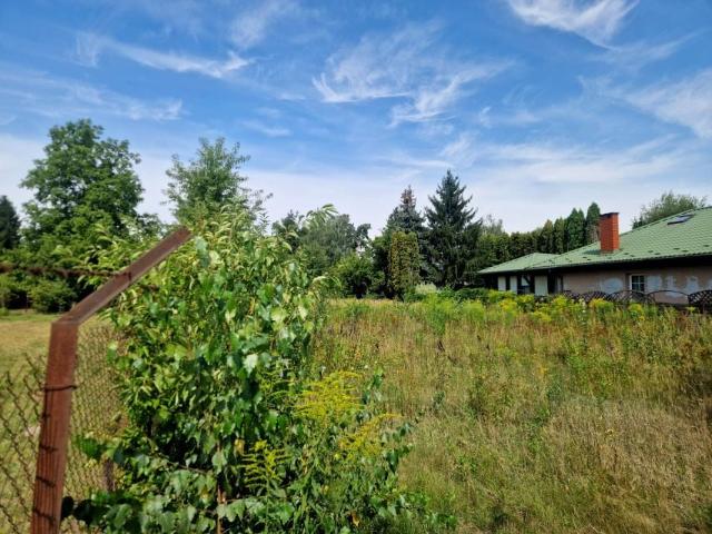 Załubicka 1 890 m², Kuligów