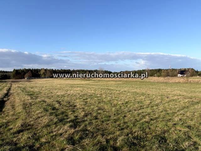 Za Koleją 756 m², Jejkowice