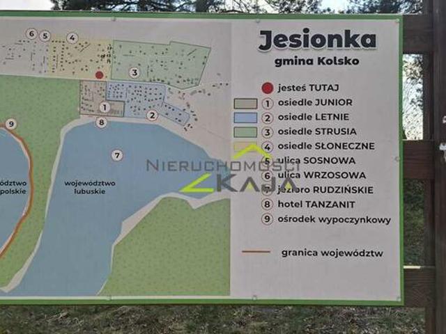 Zamieszkaj blisko natury działka 1217m2 z WZ
