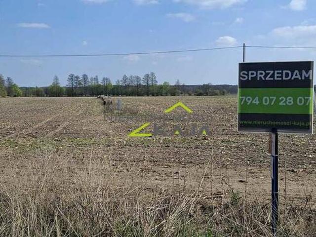 Zamieszkaj blisko natury działka 1217m2 z WZ