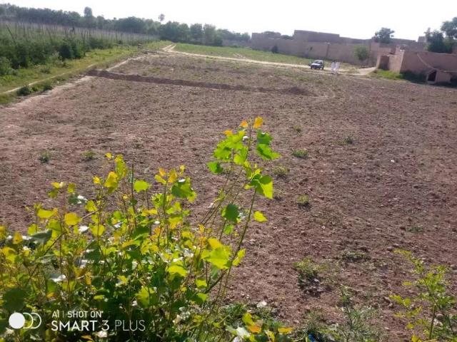 Zandae feroz gao near by bhandu road 2.5 jirab plot for sale Peshawar ID 03602