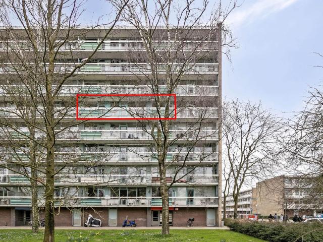 Zangvogelweg, 24, 3815DL, Amersfoort, Utrecht 3815DL