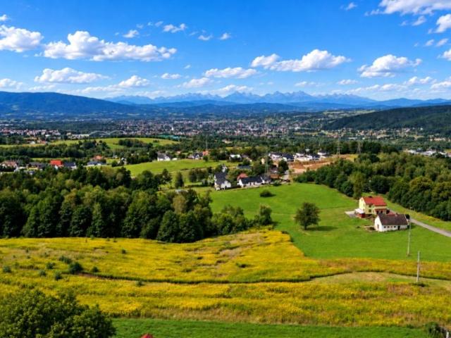 Zabełecka 1 206 m², Nowy Sącz