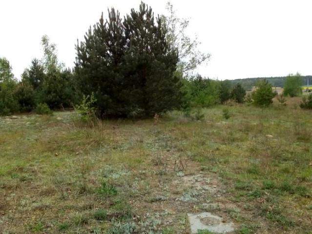 Zacisze 1 040 m², Głębocko