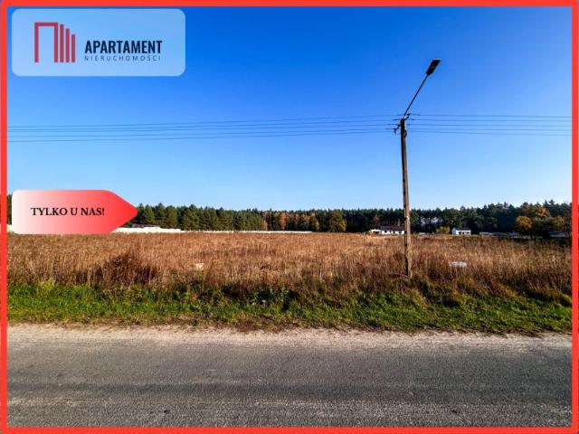 Zacisze 1 006 m², Wałdowo Królewskie