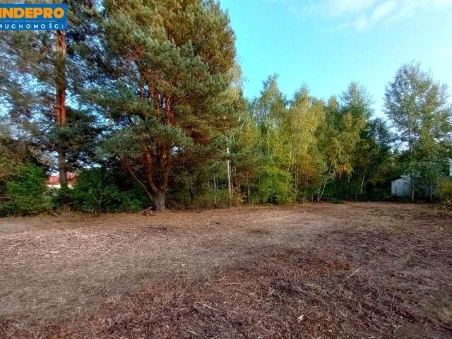 Zaciszna 1 600 m², Kołaków