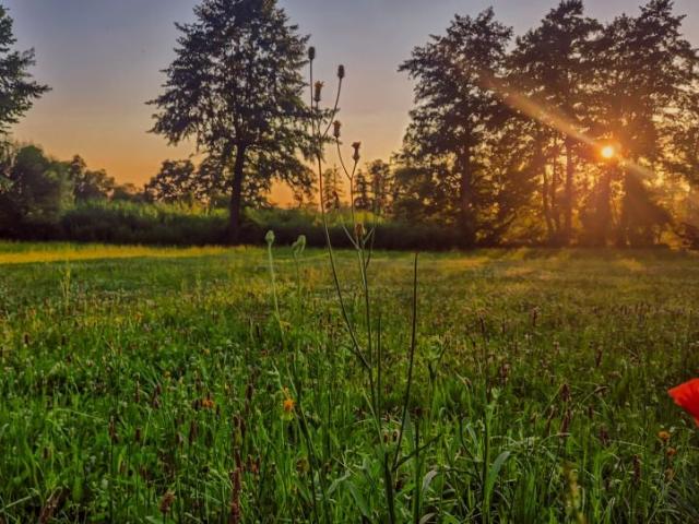 Zajęcza 1 814 m², Czechowice Dziedzice