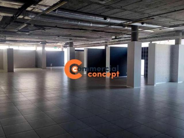 Zakopiańska 1 256,56 m², Kraków