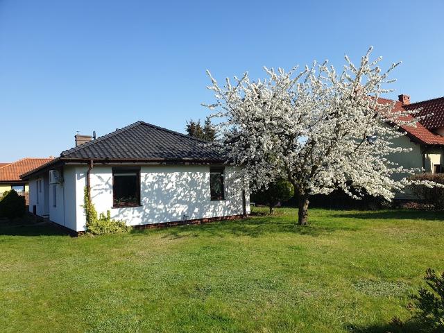 Zalasewo, 105 m2