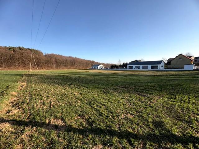 Zalesie 6 000 m², Iwanowice Dworskie
