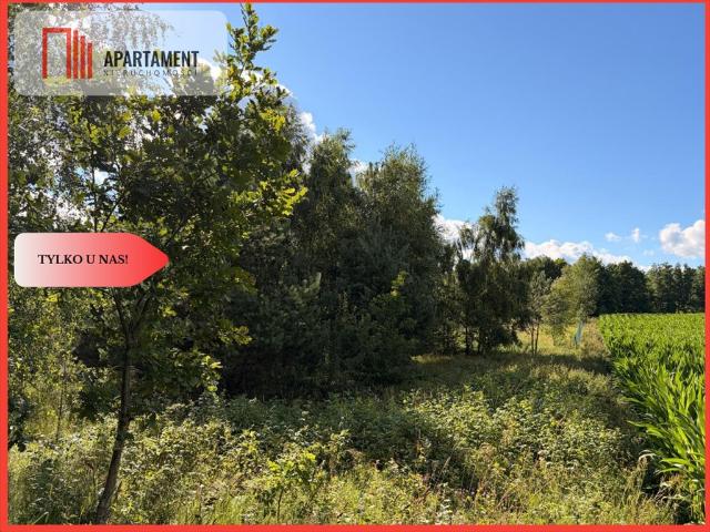 Zalesiona działka 950 m² w spokojnej okolicy