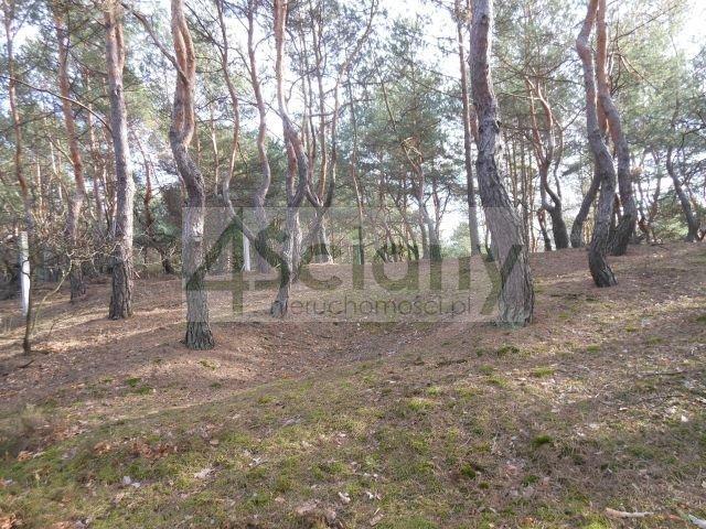 Zalesiona działka w willowej dzielnicy Legionowa Bukowiec