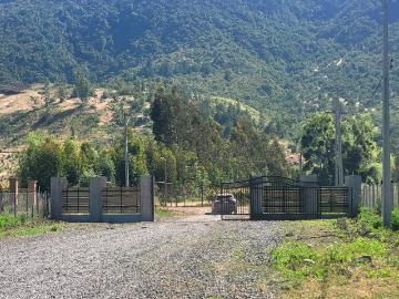 Zapallar, curico
