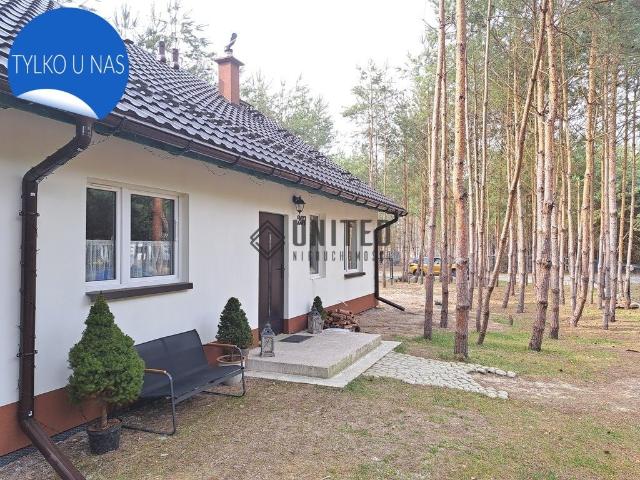 Zapraszam do obejrzenia domu 109 m² w Jaźwinach z dużym salonem i własną aranżacją
