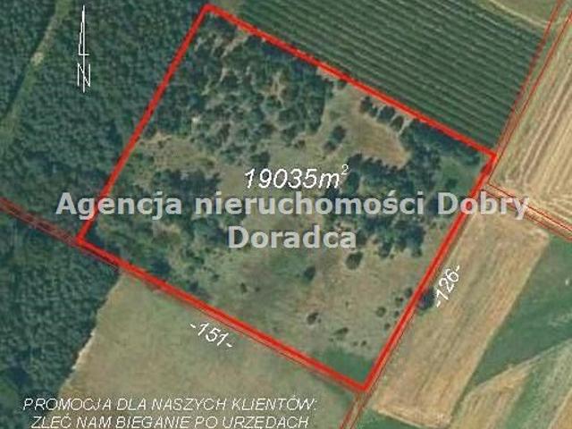 Zapraszam do obejrzenia działki 19 035 m² w Piekarowie