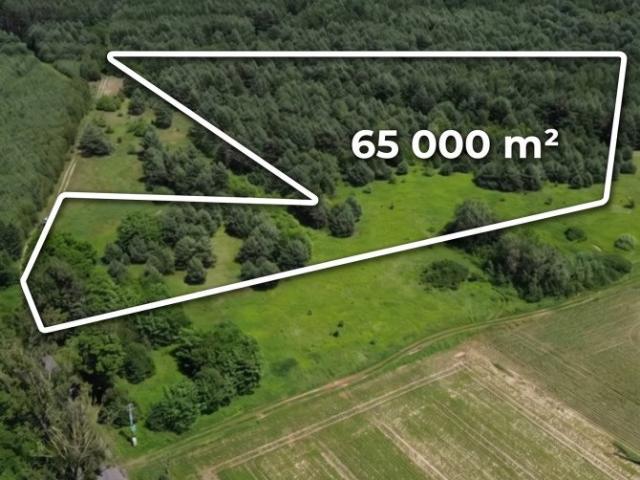 Zapraszam do obejrzenia działki 65 826 m² w Wójcicach