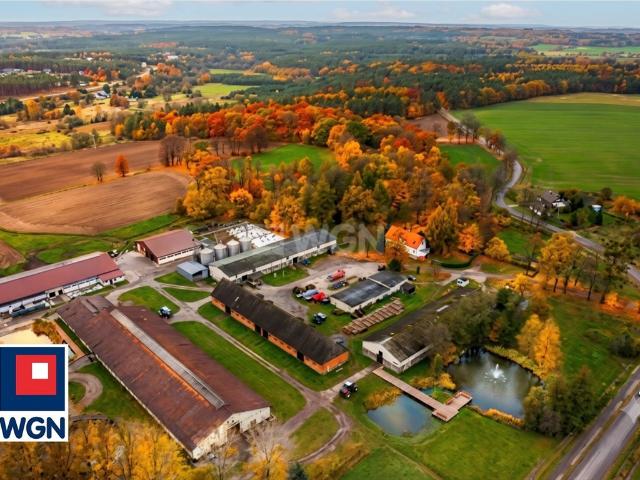 Zapraszam do obejrzenia ekologicznego gospodarstwa 240 ha z zabytkowym dworem